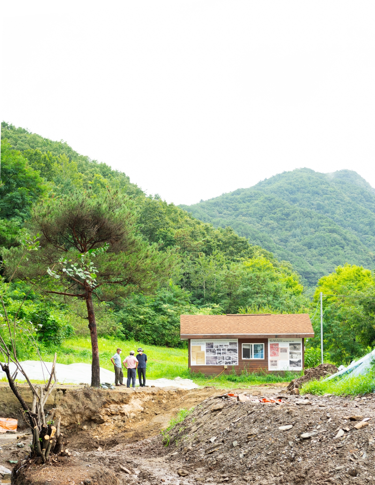 대전 산내 골령골 학살 사건 현장.