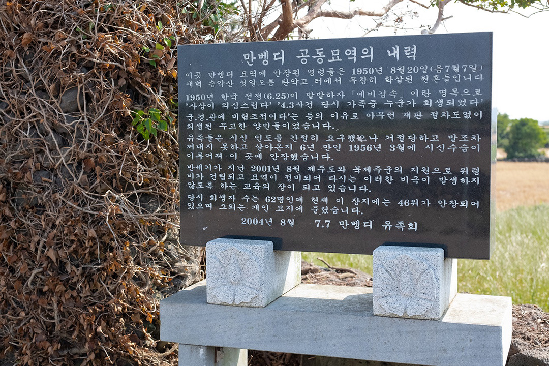 만벵듸 공동장지. @제주다크투어