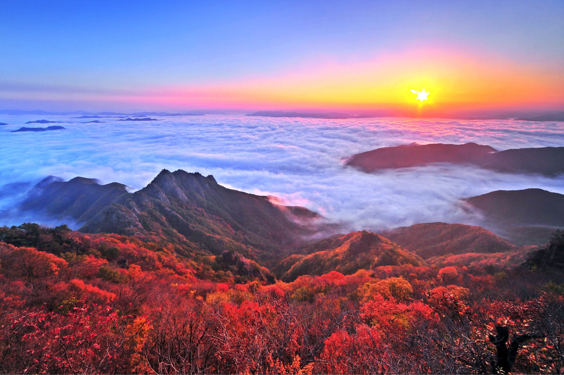 '전북의 지붕'으로 불리는 진안고원이 품은 구봉산의 가을풍경. @진안군